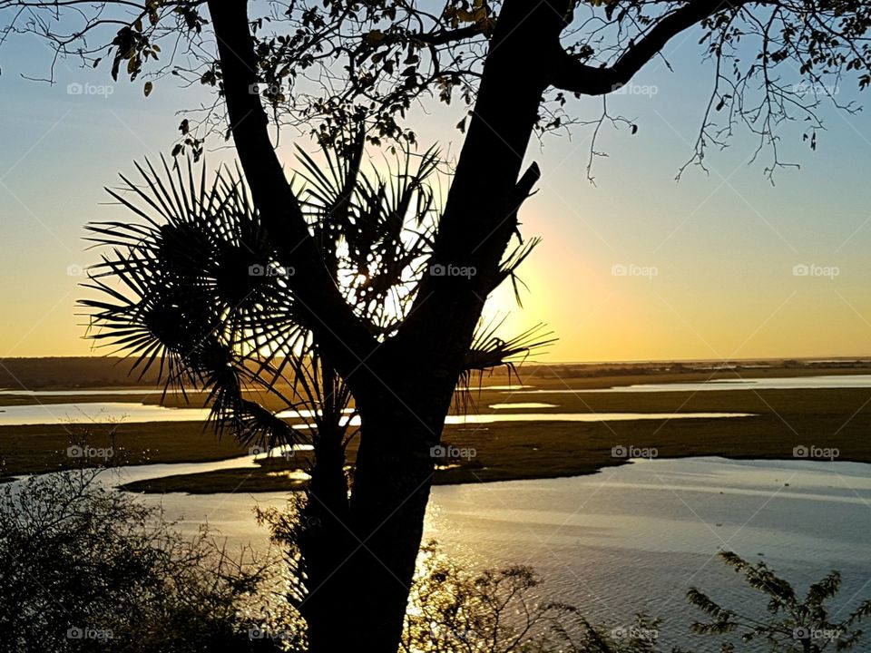 PANTANAL MS BRAZIL