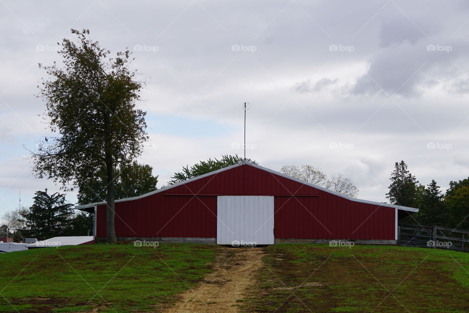 A tree and a barn. 