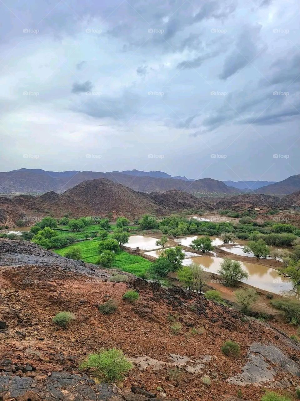 Glory be to God, the magnificent and picturesque view and the natural green trees are a view that is nothing more wonderful than it
