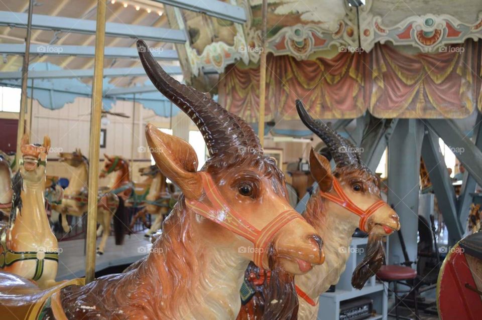 Dentzel Carousel, Meridian, MS