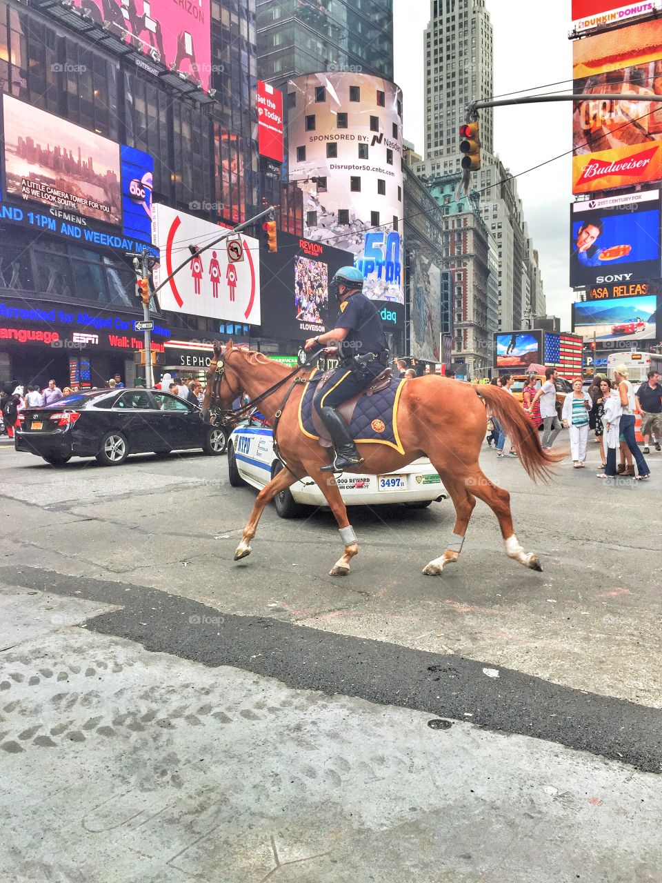 Cop On A Horse. A cop in New York City 