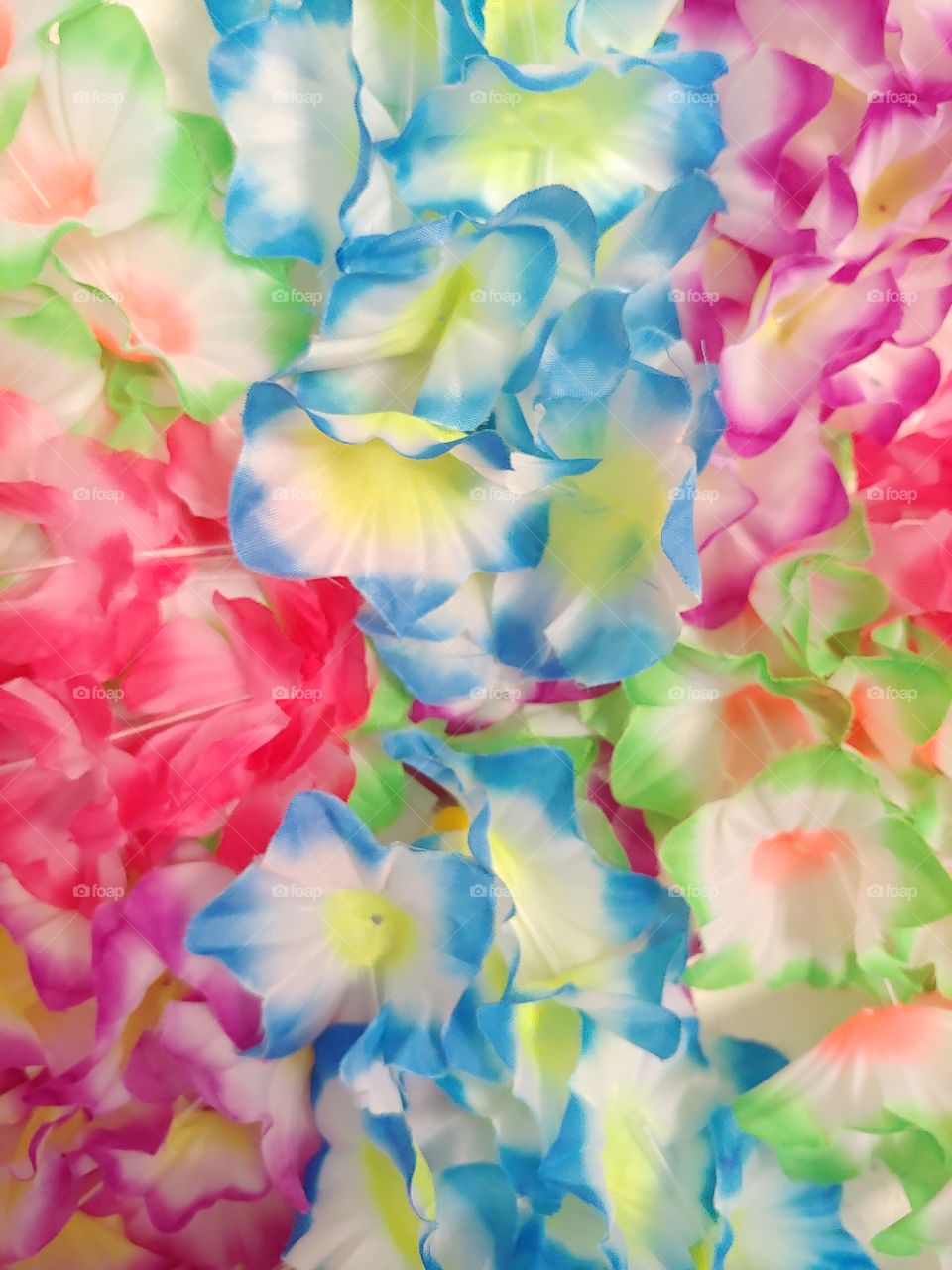 A Beautiful Array of Colorful Hawaiian Lei Flowers