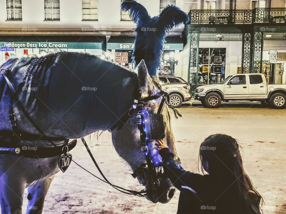 Young girl reaching out to white horse dressed in blue accessories