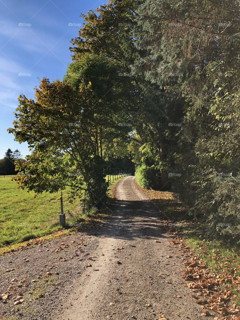 Countryside road in beginning of autumn