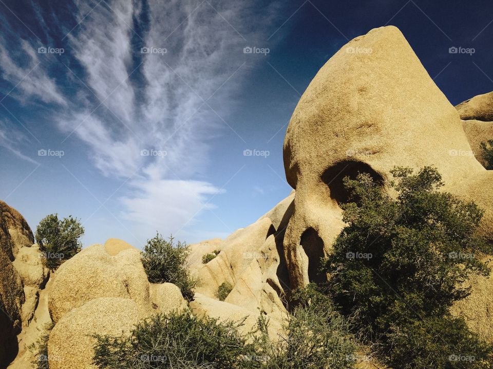 Skull Rock, Joshua Tree
