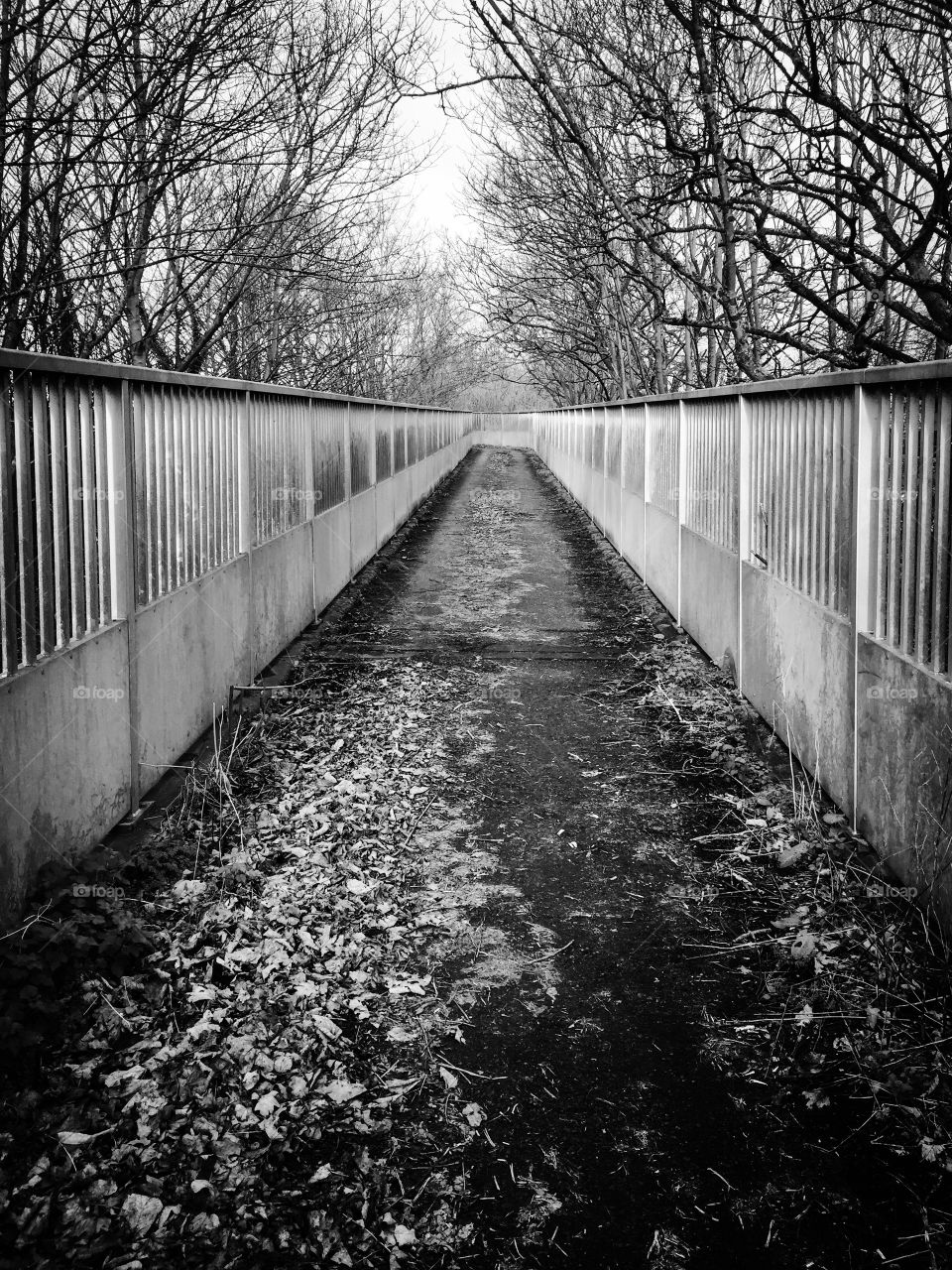 Walkway