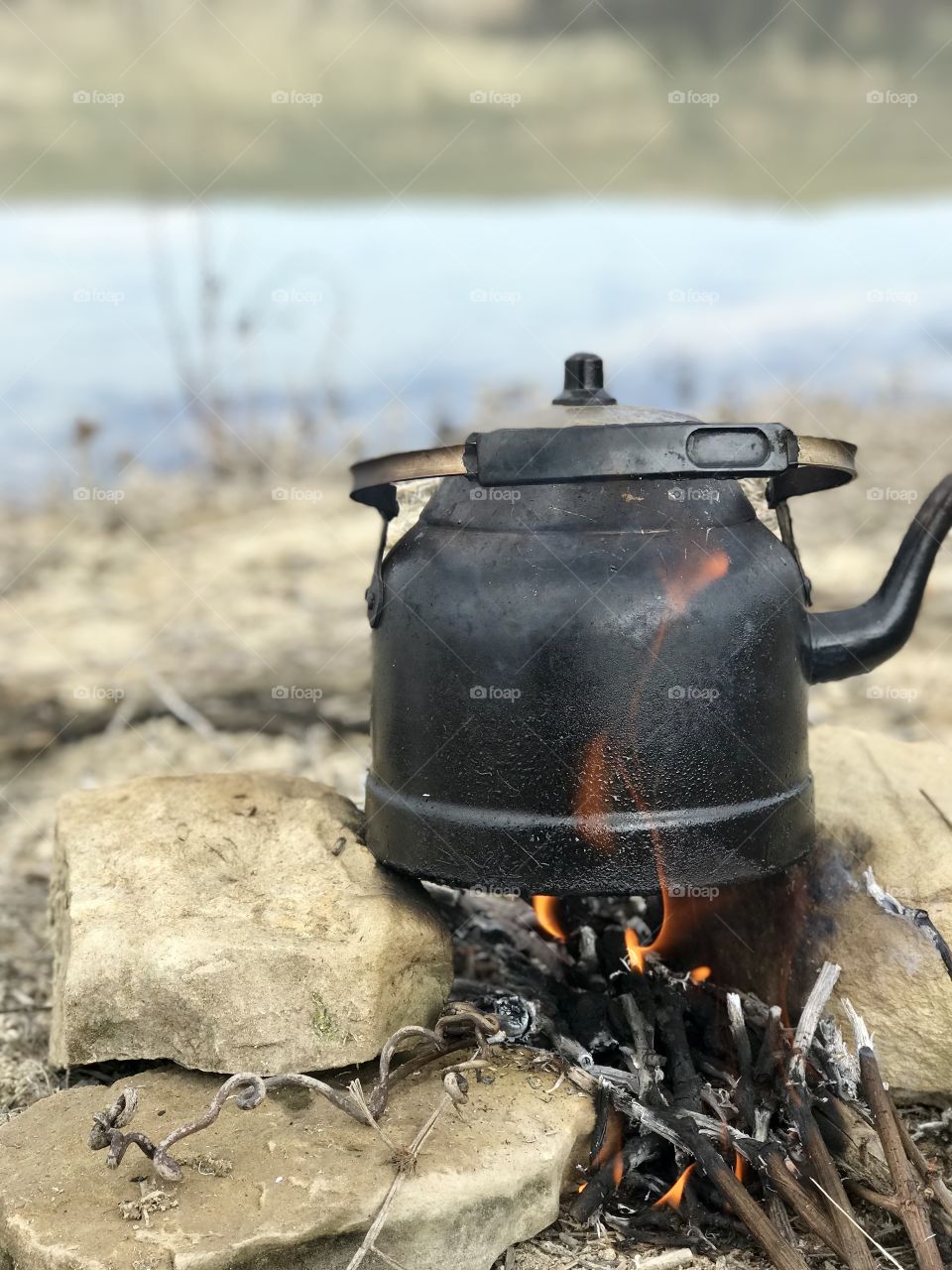 Tea fire nature
