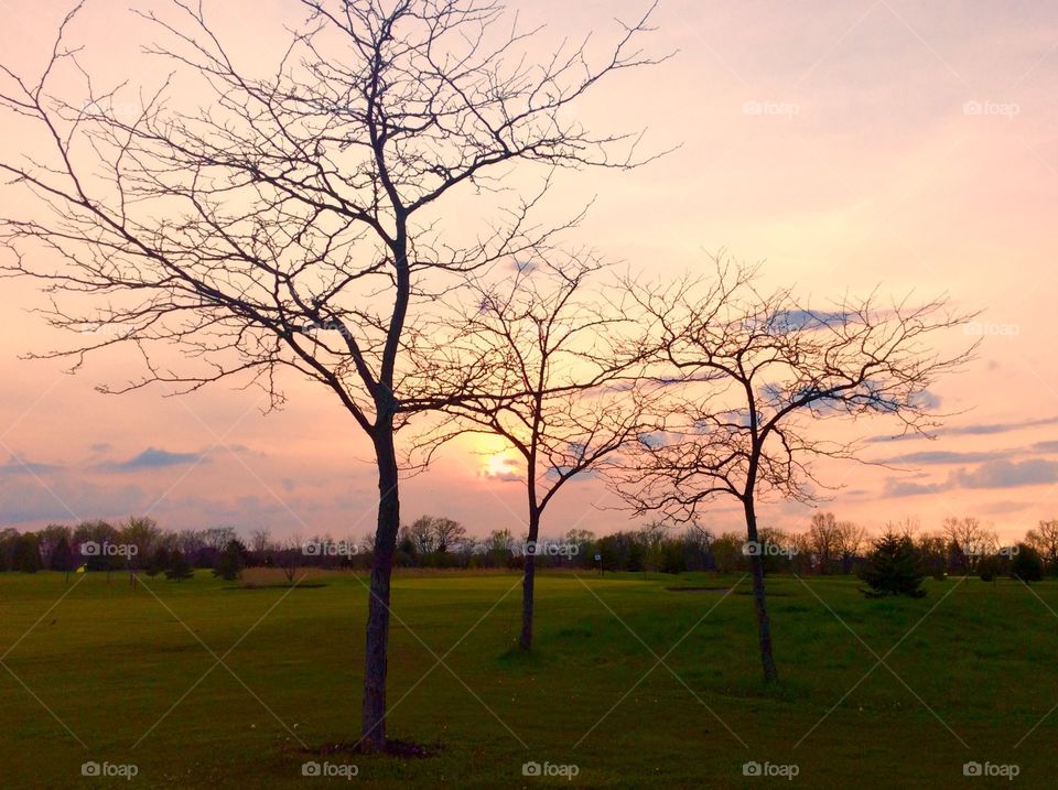 Sunset over the park