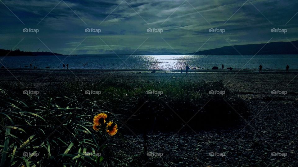 Dusk on the Firth of Clyde