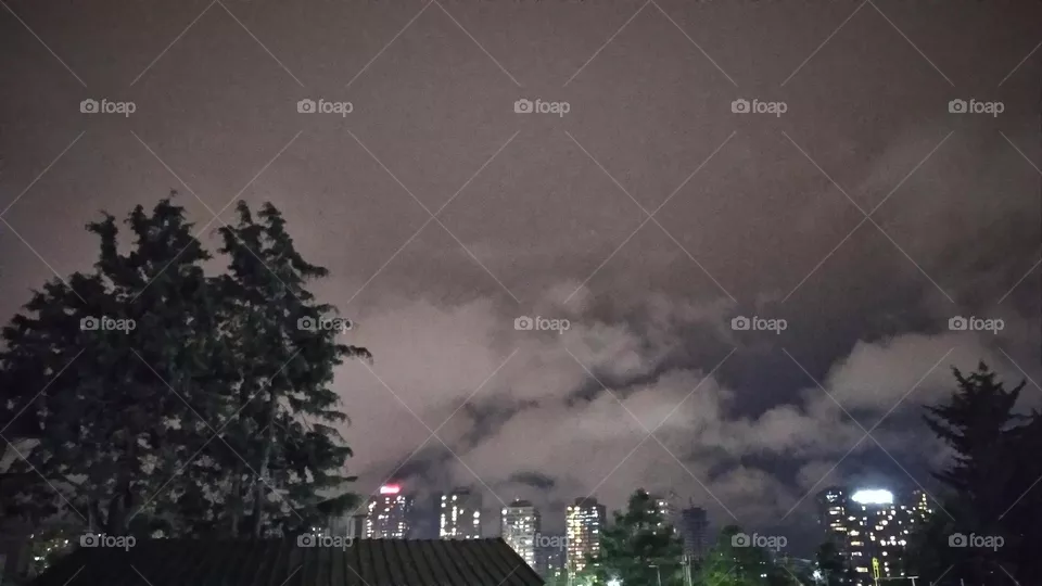 evening landscape