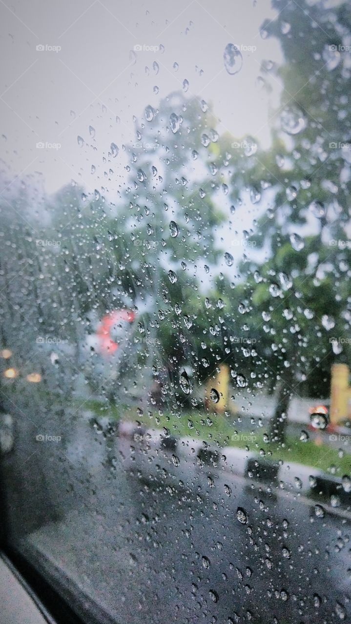 Rain ☔