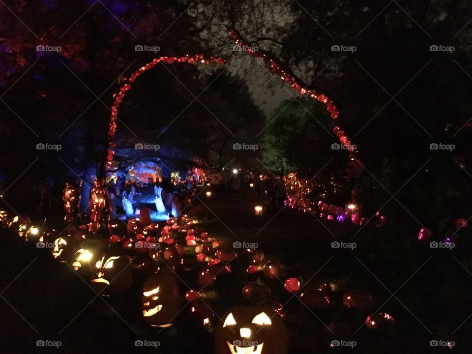 The Great Jack O’Lantern Blaze