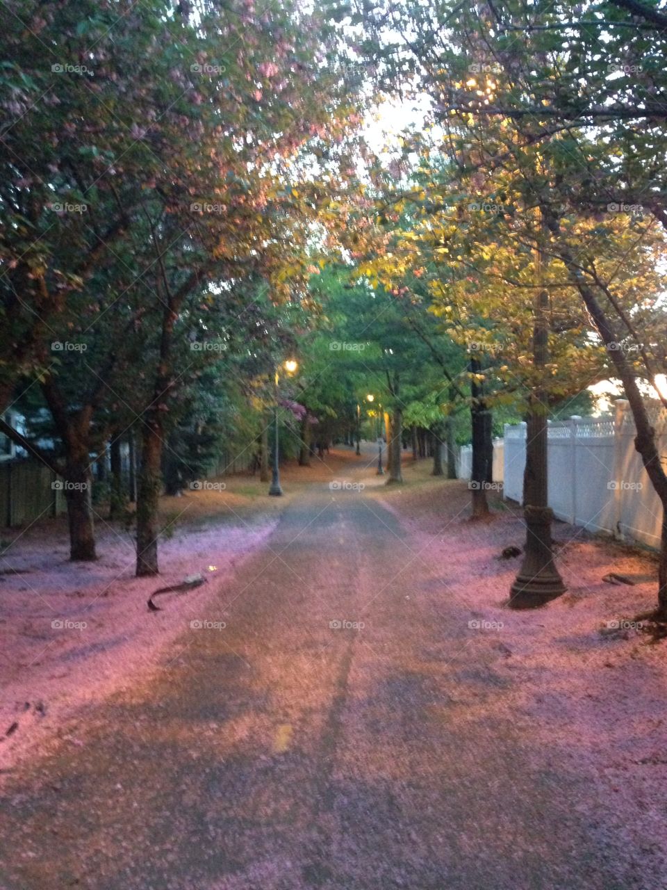 Path walks in Spring
