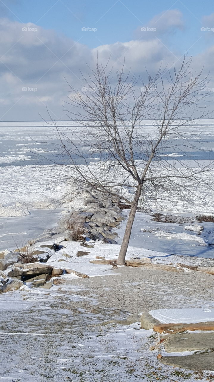 A Frozen Lake Erie, Cleveland Ohio 2017.