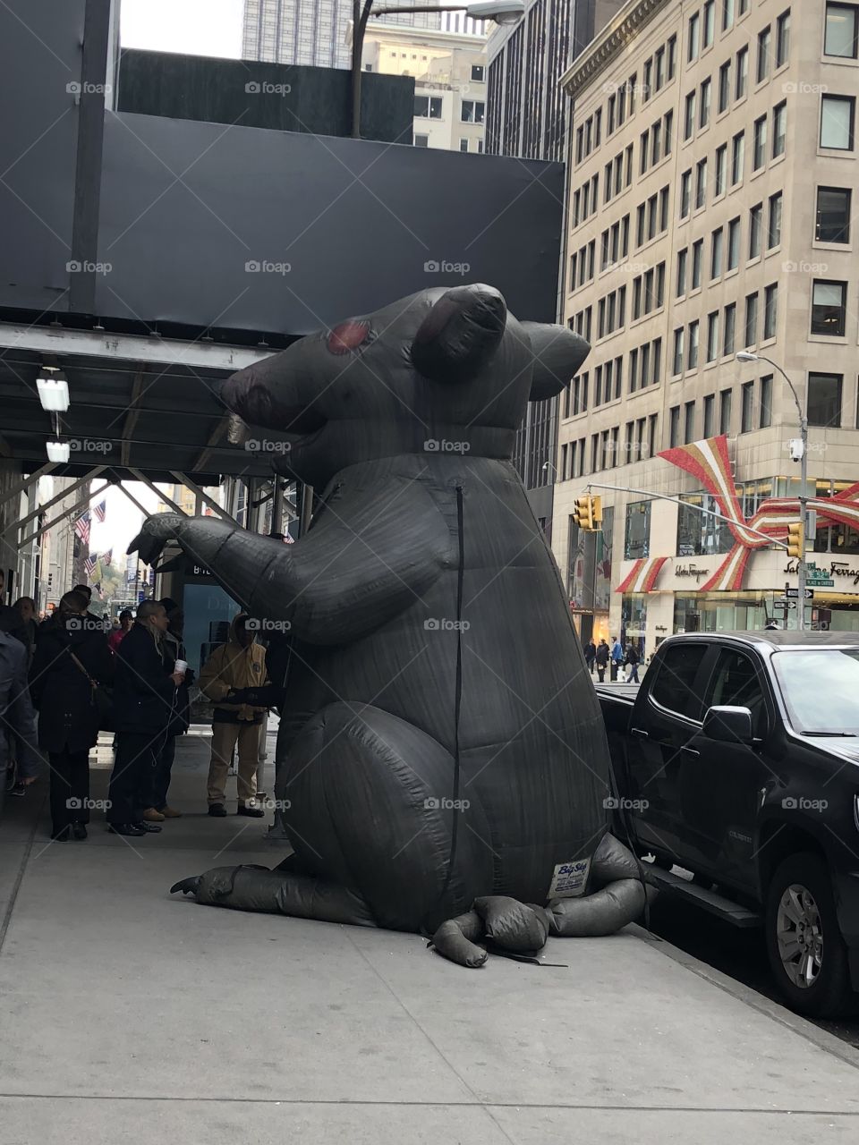 Union rat 