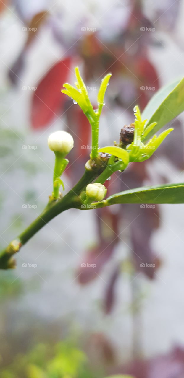 The signs of spring.