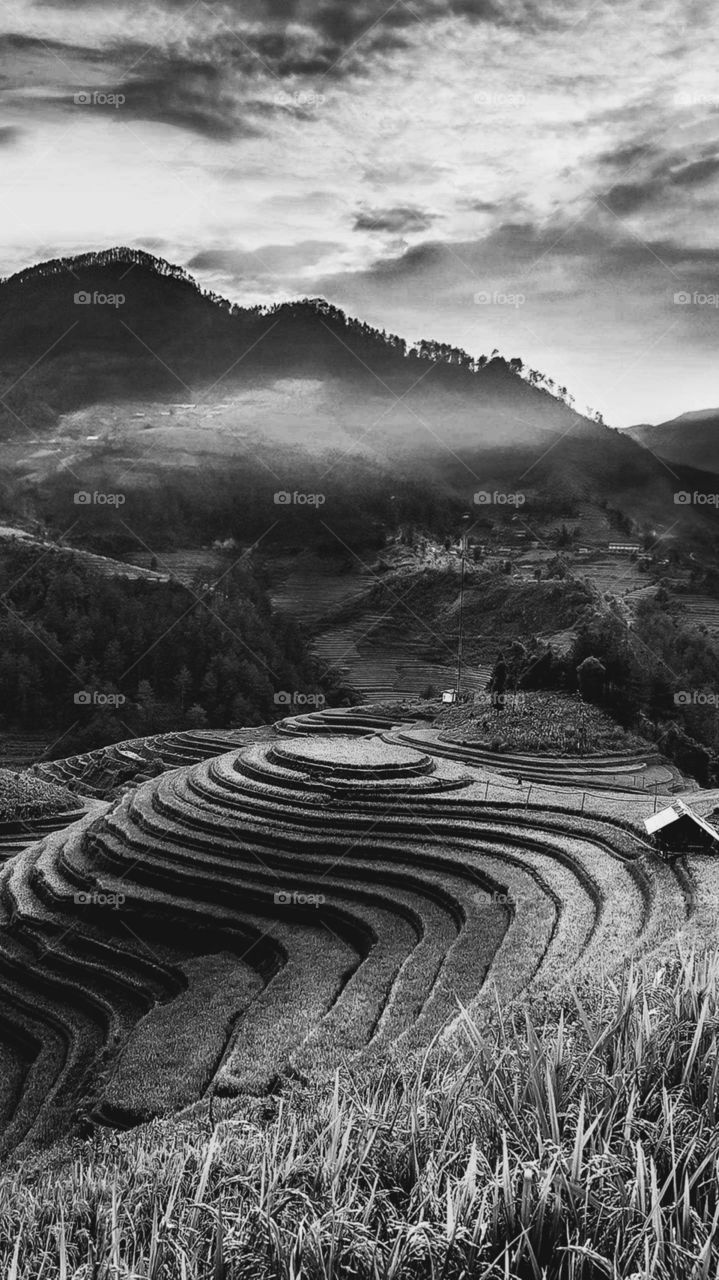 Monochrome photo grahpy