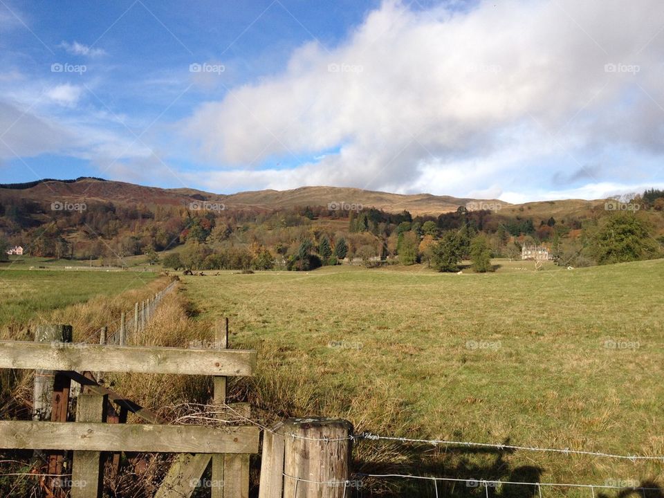 Scottish countryside 