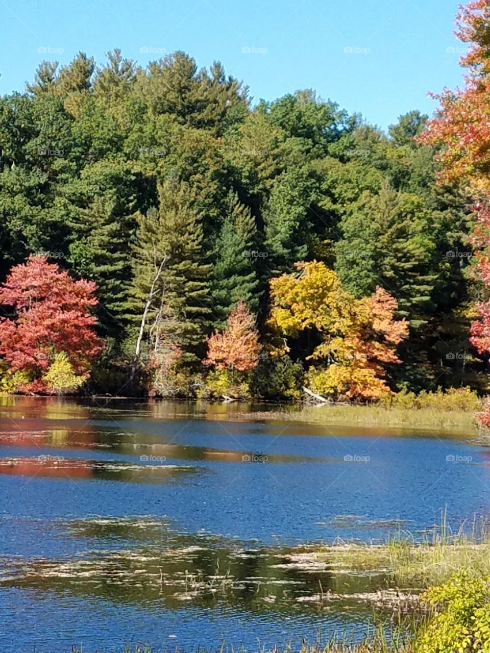 View of a idyllic lake