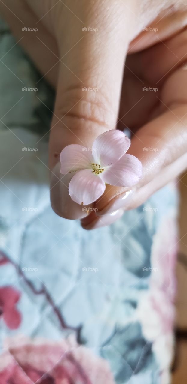 Holding a Little Flower