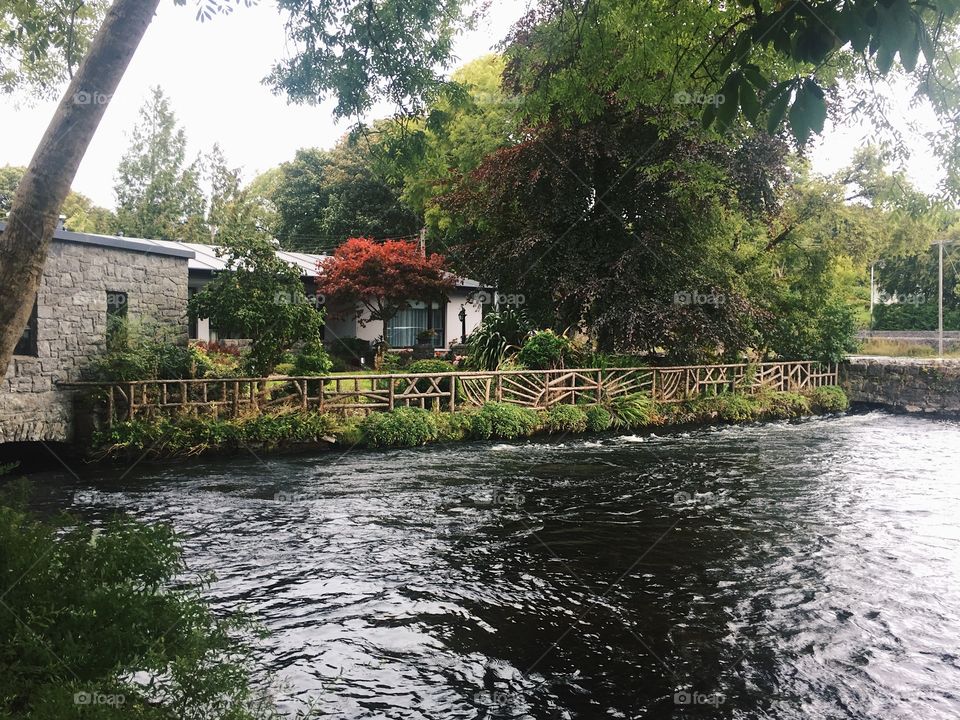 Water, River, House, Tree, Travel