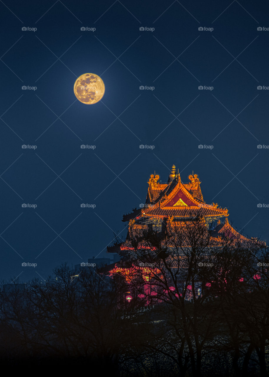 Moonlight of the Forbidden City