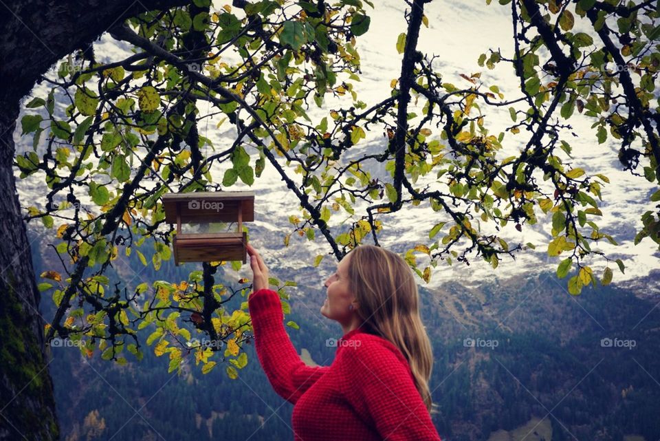 Mountain#tree#leaves#human#nature