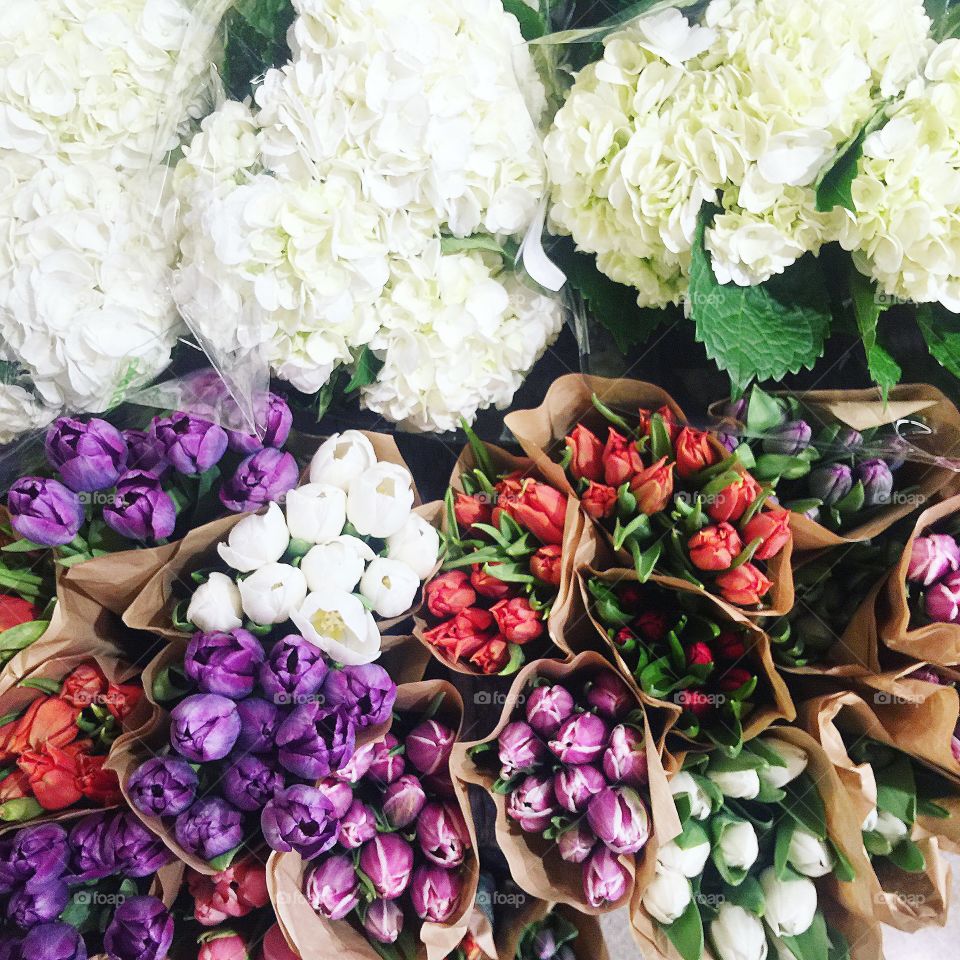 Tulips in season at Whole Foods