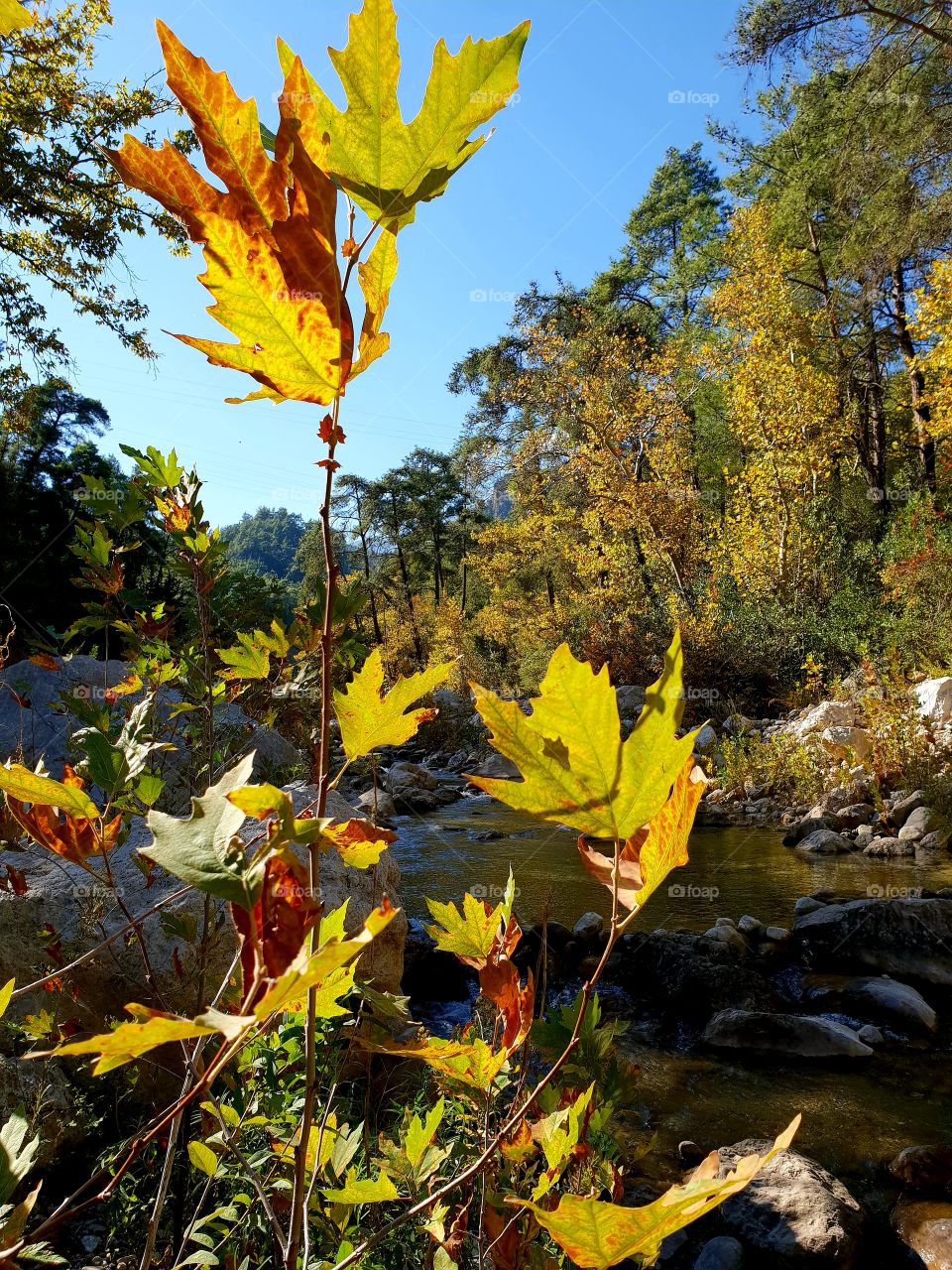 autumn in the mountains