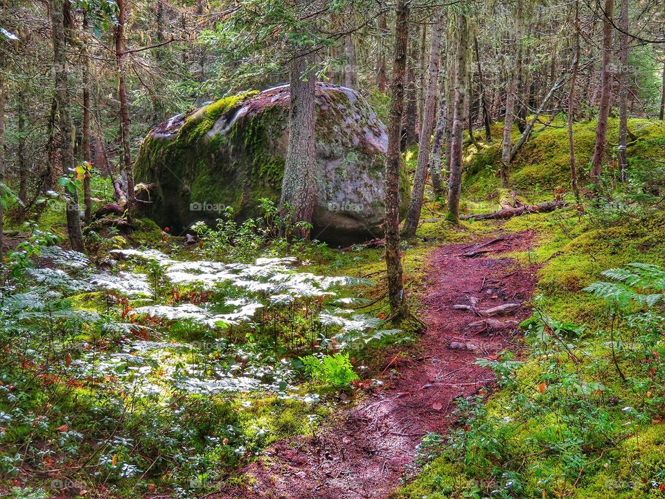 Hiking Trail Bergeronnes Québec