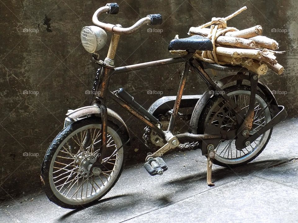 Looking for firewood with an old bicycle