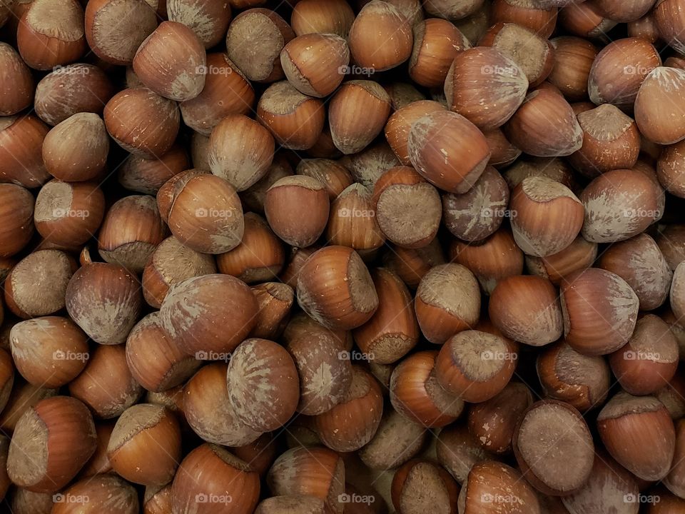 Closeup details and texture of freshly harvested hazelnuts in the fall