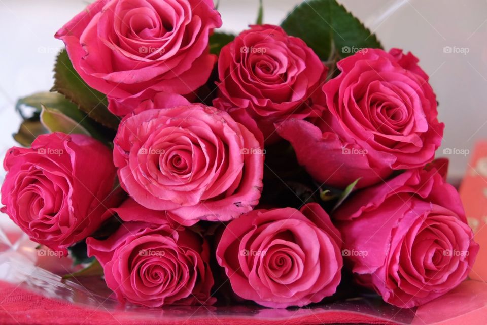 Roses for valentines day