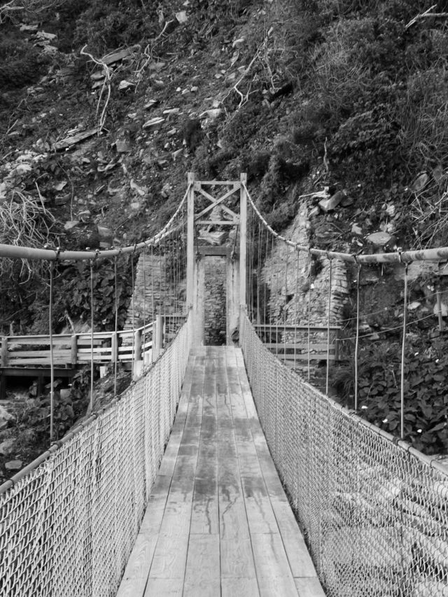 Bridge 