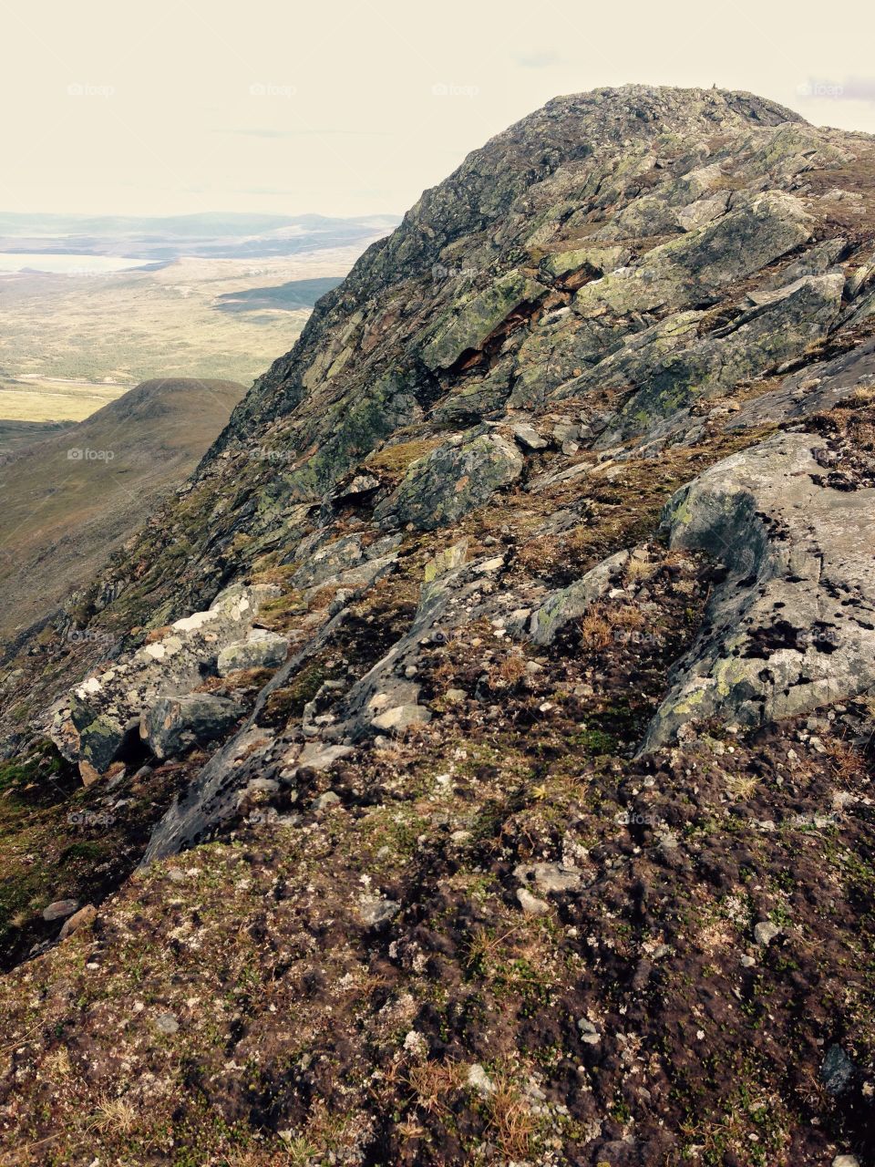 Getryggen. On the top of Mt Getryggen, Jämtland, Sweden