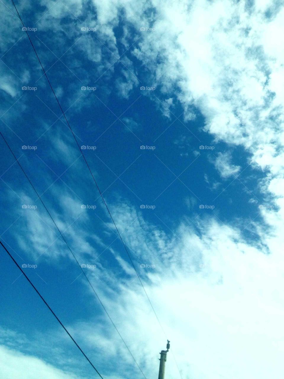 to all vegetation friend this picture is for you now Fack but just real and beautiful .