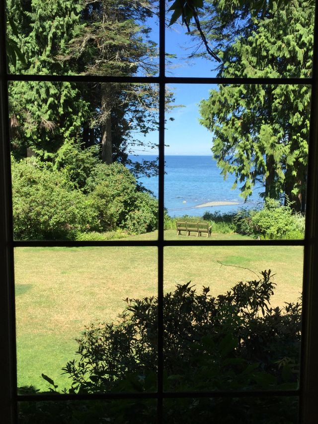 Window view 