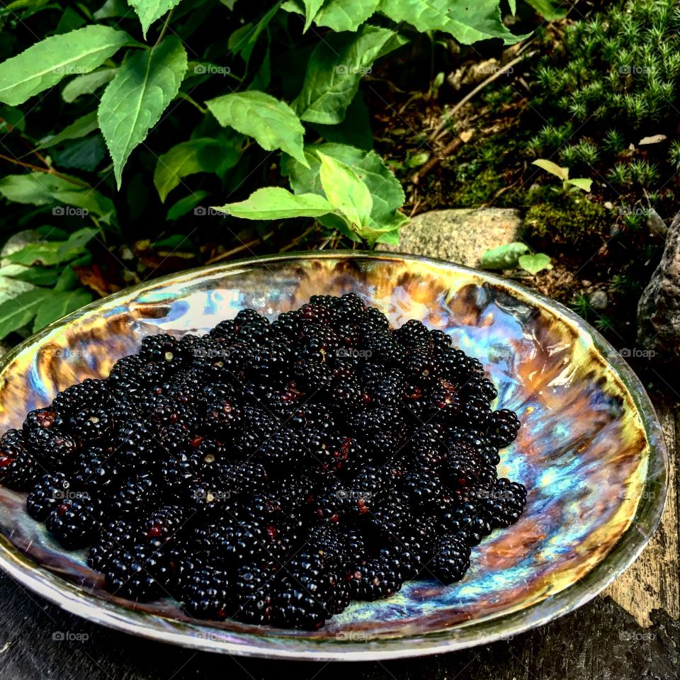 Wild blackberries 