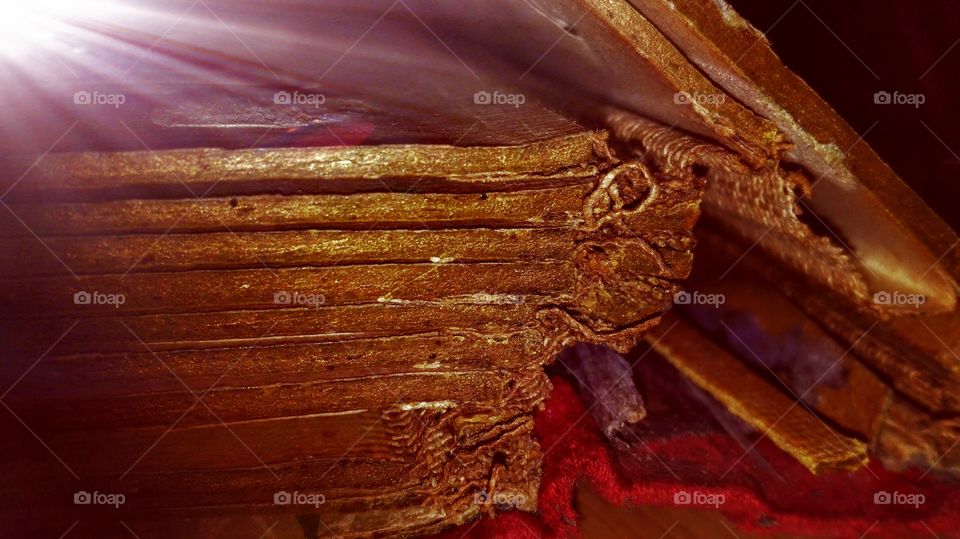 Old family photo album.