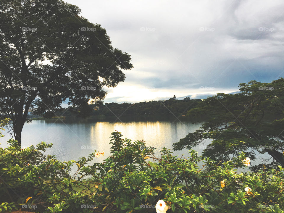 Scenic view of river