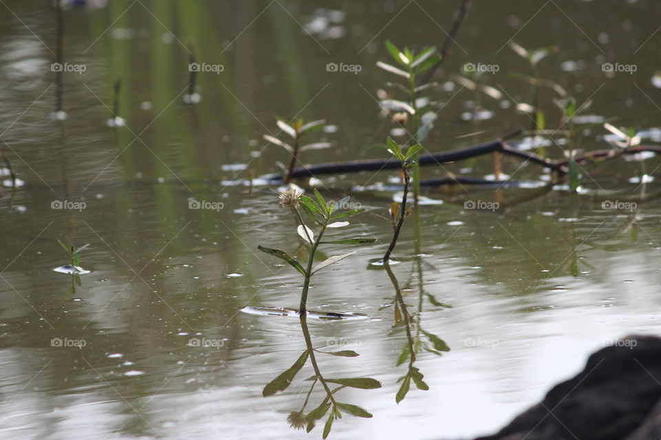 Incredible reflections