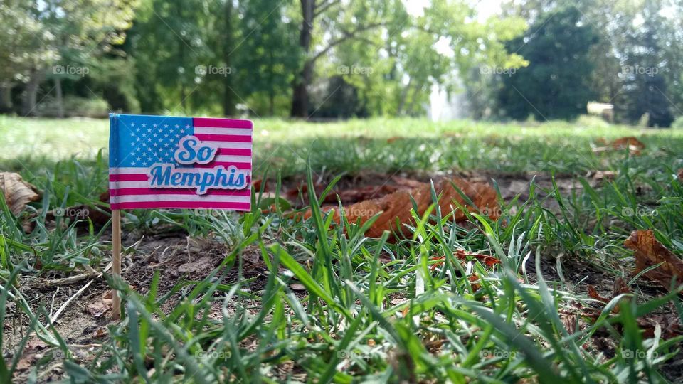 A flag in the grass