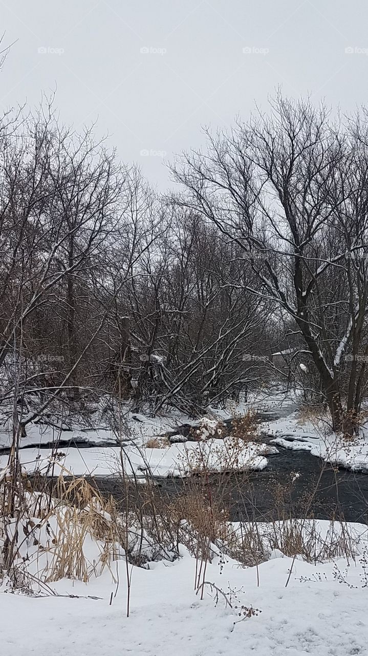 Snowy river