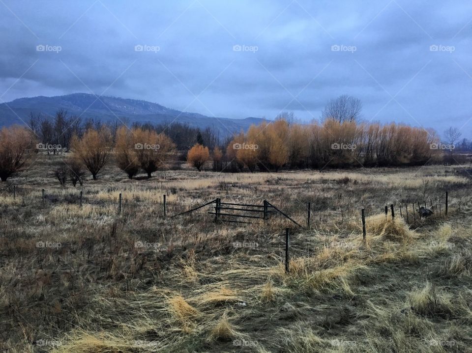 Beautiful sunny farm 