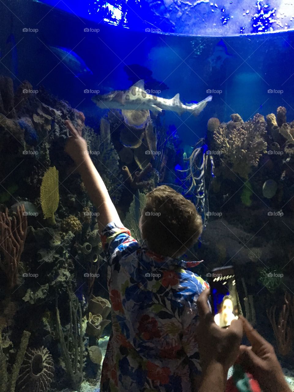 Aquarium 