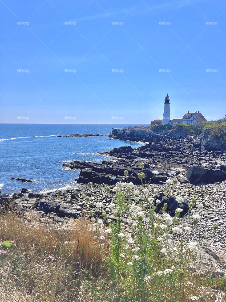 Summers in New England