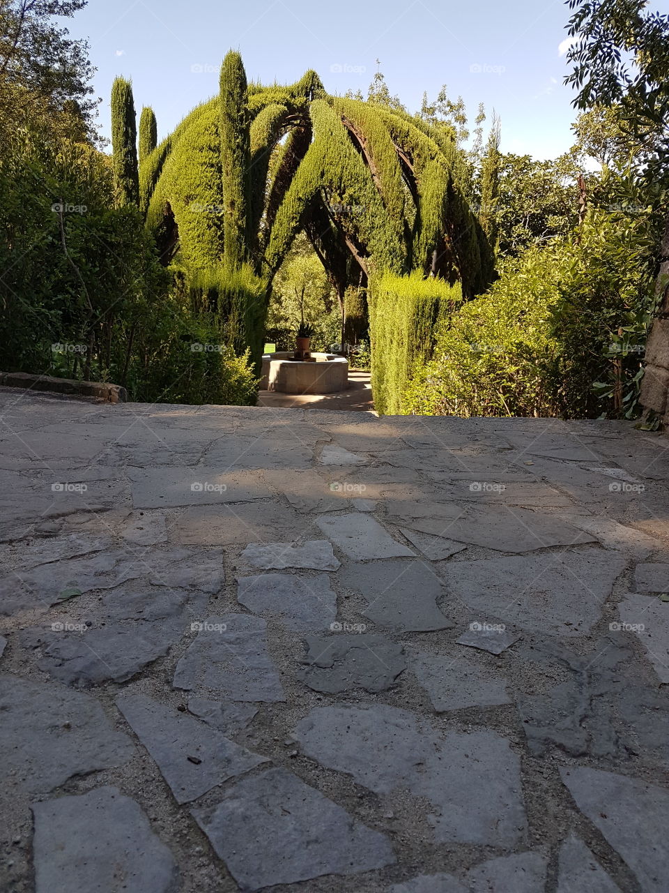 garden Barcelona Barcelone museum spain Barcelona montjuic