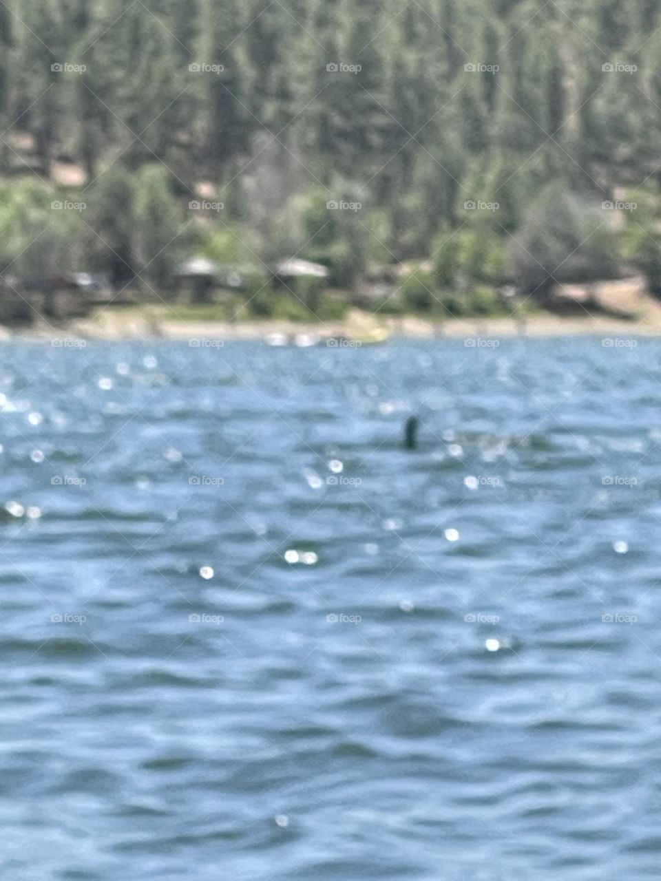 Beautiful and peaceful lake