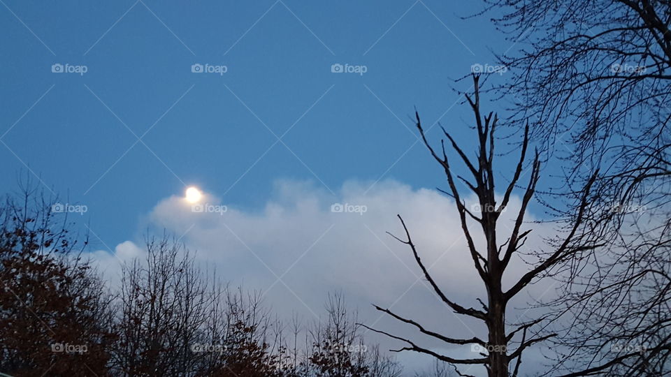 moon through the clouds