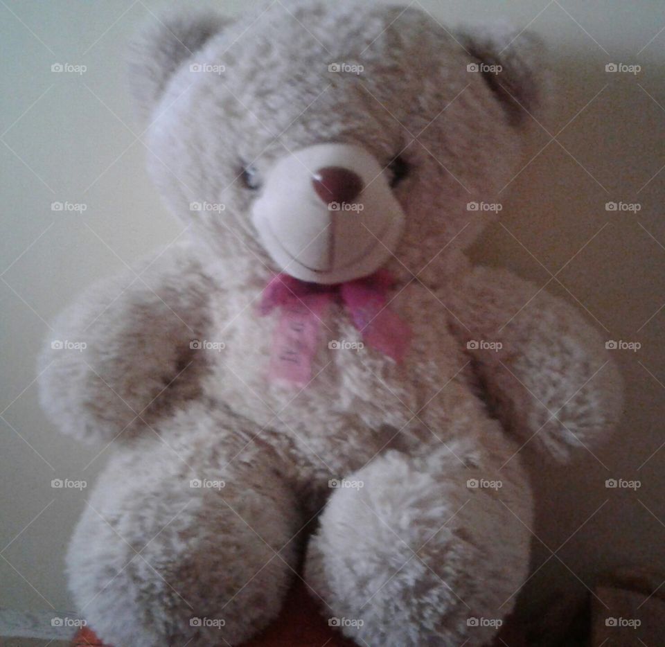 My cute Teddy.